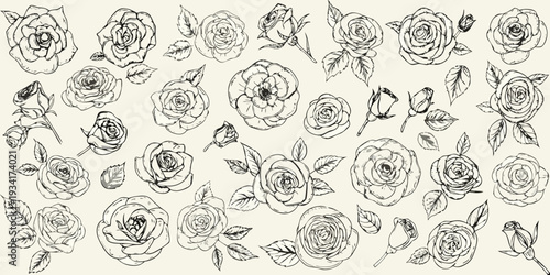 A collection of delicately sketched roses and leaves on a neutral background