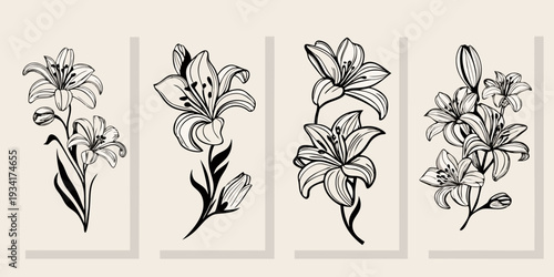 Four elegant lily floral sketches arranged in a vertical composition