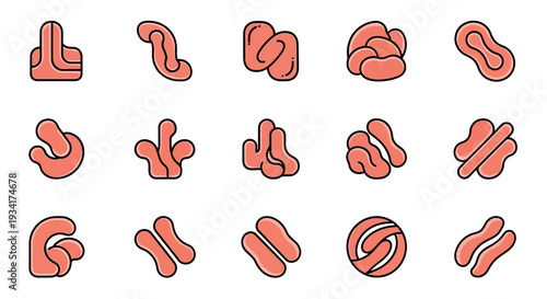 Kidney bean icons set. Food and healthy eating concept