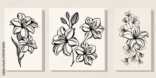 Elegant botanical wall art featuring minimalist line drawings of lilies
