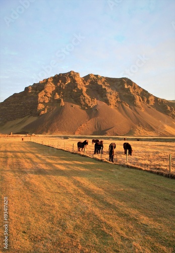 Terre d'Islande