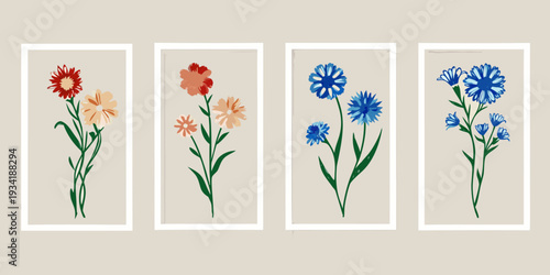 Four framed botanical illustrations of wildflowers in varying colors