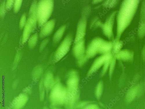 Dramatic dark leaf shadows on a vibrant green wall background.