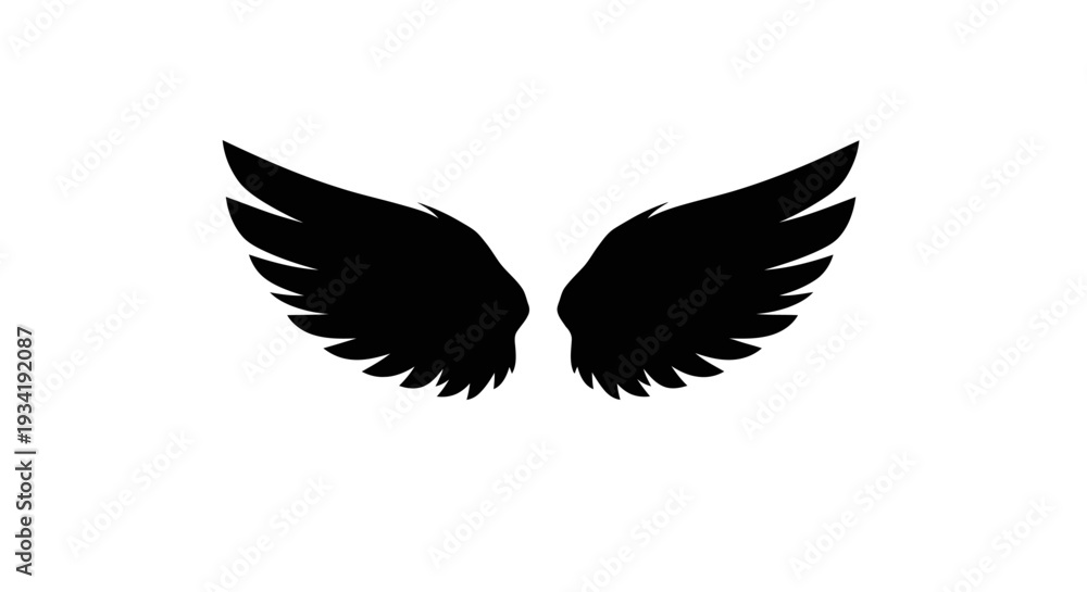 Fototapeta premium Elegant Black Wings Isolated on White Background.