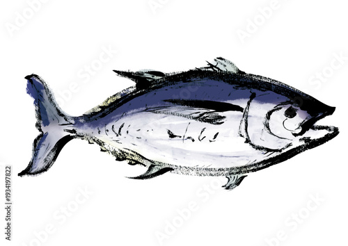 マグロの和風筆書きイラスト　右向き