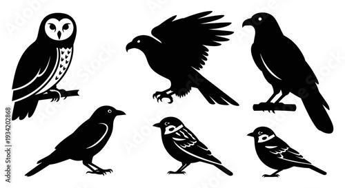 Bird Silhouettes Collection: Owl, Hawk, Crow, and Sparrows Vector Set