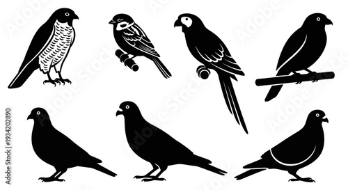 Bird Silhouettes Collection Vector Illustration Set. Various Flying Creatures Icons and Graphics.