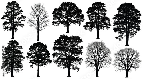 Collection of various tree silhouettes isolated on white background for design and decoration purposes easily