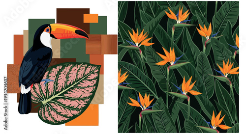 Stunning tropical nature vector art collection with a majestic toucan design and an elegant seamless pattern of exotic Bird of Paradise blossoms