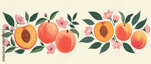 Vibrant Vector Illustration of Ripe Peaches and Pink Blossom Branches, Forming Decorative Borders for Summer-Themed Designs, Fresh Fruit Accents, and Botanical Garden Art
