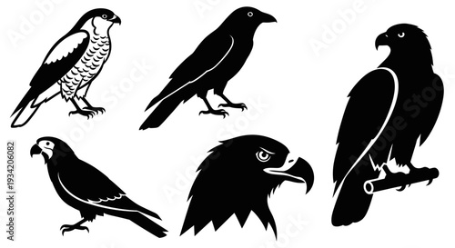 Birds of Prey Silhouettes Set: Eagle, Hawk, and Raven Vector Collection