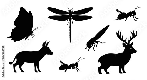 Collection of Animal and Insect Silhouettes: Butterfly, Dragonfly, Deer, Ant, Grasshopper, and More