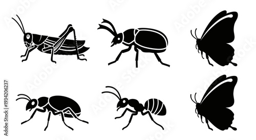 Collection of black insect silhouettes: grasshopper, beetle, ants, and butterflies