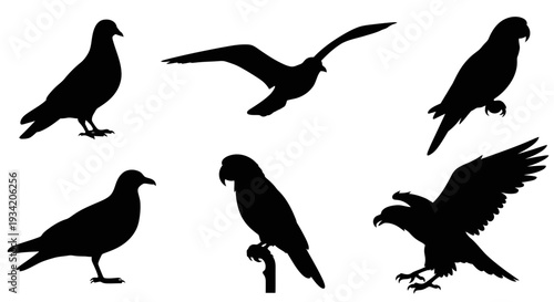 Collection of Diverse Bird Silhouettes in Various Poses
