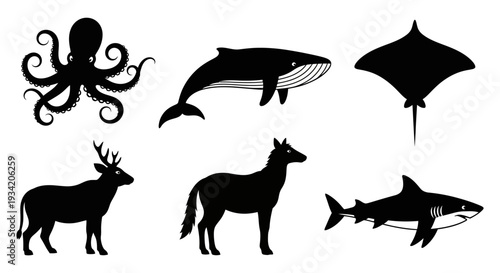 Collection of diverse animal silhouettes, including marine and land wildlife