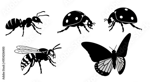 Collection of various insect silhouettes: ant, ladybug, wasp, and butterfly vector illustration