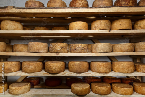 Tableau sur toile Artisan cheese wheels aging on wooden shelves