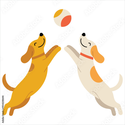Vector illustration of two dogs best friends playing together and jumping for ball on white background