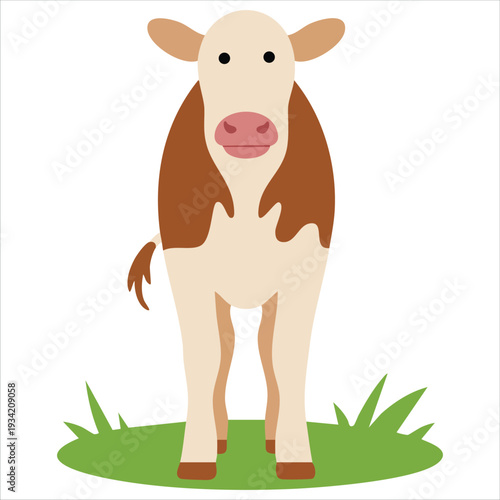 Baby flat vector illustration of farm animals with young calf standing on green grass on white background