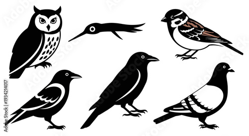 Diverse Bird Silhouettes and Outlines Collection Vector Illustration Set