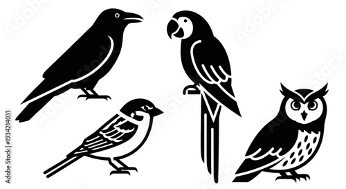 Diverse Bird Silhouettes Collection: Crow, Sparrow, Macaw, and Owl Graphic Icons