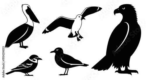 Diverse Bird Silhouettes Collection: Avian Species Vector Illustration Set