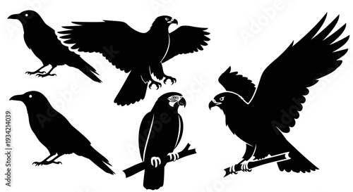 Diverse Bird Silhouettes Collection: Eagle, Crow, and Parrot Graphic Designs