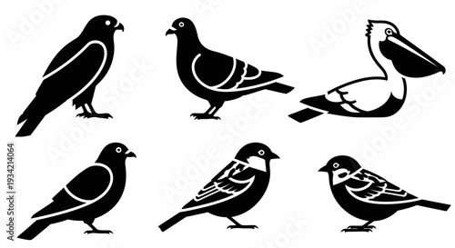 Diverse Bird Silhouettes Collection: Hawk, Pigeon, Pelican, and Small Birds Icons