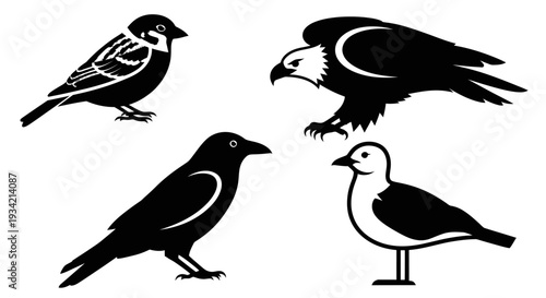 Diverse Bird Silhouettes Collection: Sparrow, Eagle, Crow, and Seagull Vector Icons