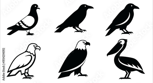 Diverse Bird Silhouettes Collection: Pigeon, Crow, Eagle, and Pelican Icons