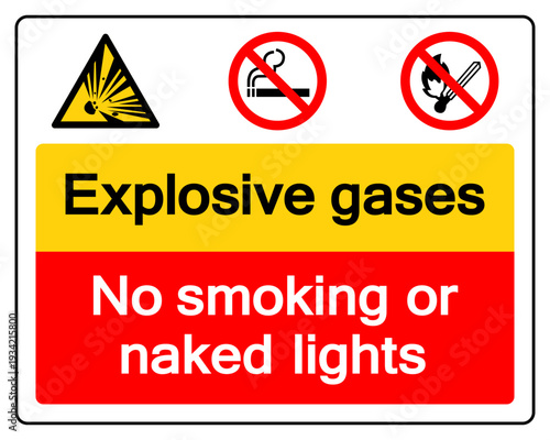 Explosive Gasses No Smoking Or Naked Light Symbol Sign, Vector Illustration, Isolate On White Background Label. EPS10