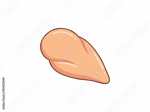 Fresh Raw Chicken Breast Fillet Illustration Isolated on White