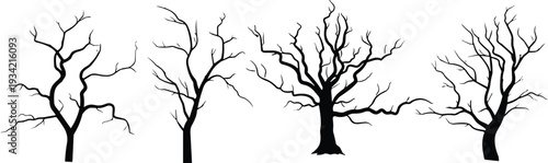 Black silhouette of four dead leafless trees set on white background, spooky winter forest branches, bare oak and wood icons for design.