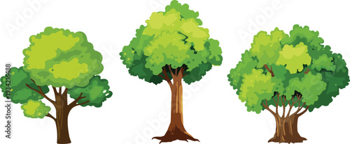 Set of three green deciduous forest trees with lush leaves on white background, various species of garden plants for landscape design, nature.