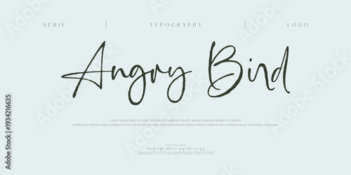 Angry Bird, Script font alphabet uppercase lowercase and number. Classic lettering minimal fashion designs. Typography modern serif fonts regular decorative vintage concept. Vector illustration
