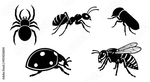 Diverse Insect and Spider Silhouettes Collection on White Background