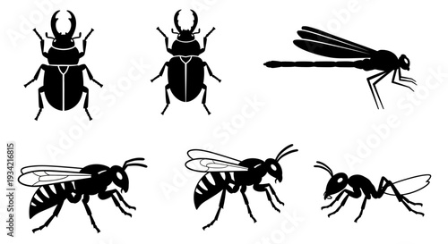 Diverse Insect Silhouettes Collection: Beetles, Dragonfly, Wasps, and Ant Icons