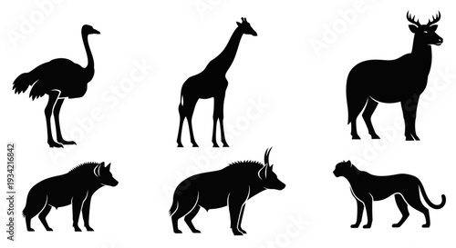 Diverse Wild Animal Silhouettes Set Isolated on White Background