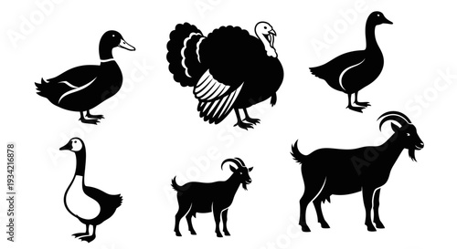 Farm Animal Silhouettes Collection: Duck, Turkey, Goose, and Goats
