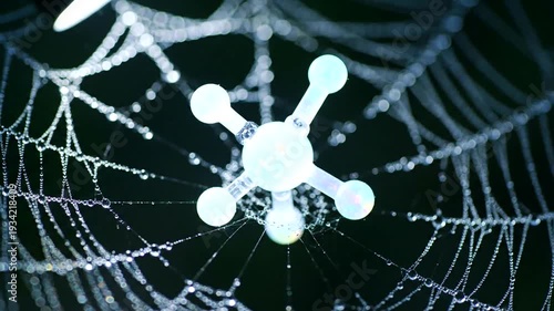 Close-up of a Spiderweb with Water Droplets and Molecule.