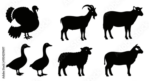 Farm Animals Silhouettes Set: Turkey, Goat, Sheep, and Ducks Vector Icons