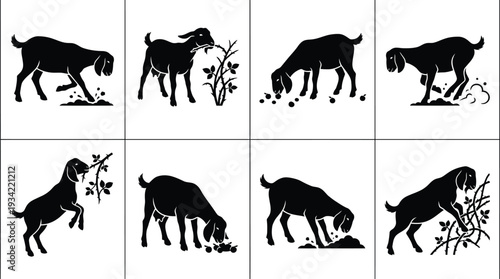 Set of 8 black goat silhouettes eating vector