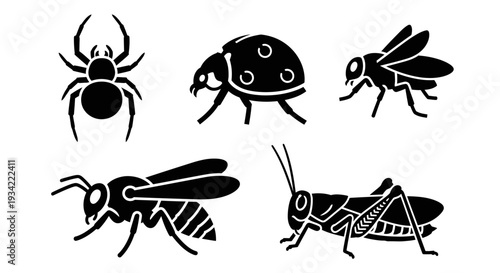 Insect and Bug Silhouettes Collection: Spider, Ladybug, Fly, Wasp, and Grasshopper Icons