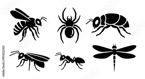 Insect Silhouettes Collection: Bee, Spider, Ant, and Dragonfly Icons