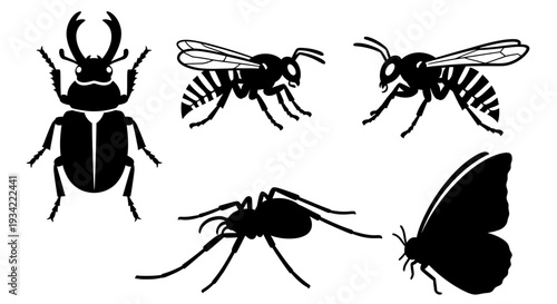 Insect Silhouettes Collection: Beetle, Wasp, Mosquito, and Moth Vector Set