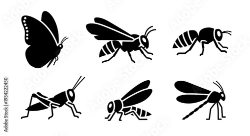 Insect Silhouettes Collection: Butterfly, Wasp, Ant, Grasshopper, Bee, Cricket Icons Set