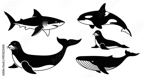 Marine Animals Set: Shark, Orca, Seal, and Whale Silhouettes