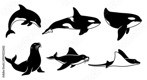 Marine Animals Silhouettes Collection: Dolphin, Orca, Sea Lion, Manta Ray