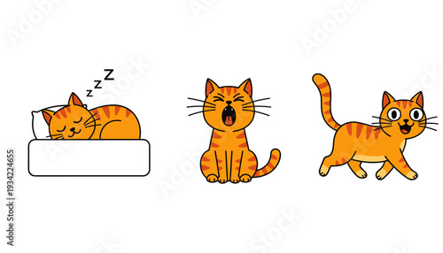 Cute Orange Tabby Cat Character Vector Set Featuring Sleeping Yawning and Walking Poses for Pet Care Branding Children's Illustrations Animal Lovers and Playful Sticker Designs