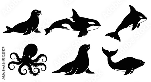Marine Animals Silhouettes Collection: Orca, Seal, Octopus, and Whale Vector Icons